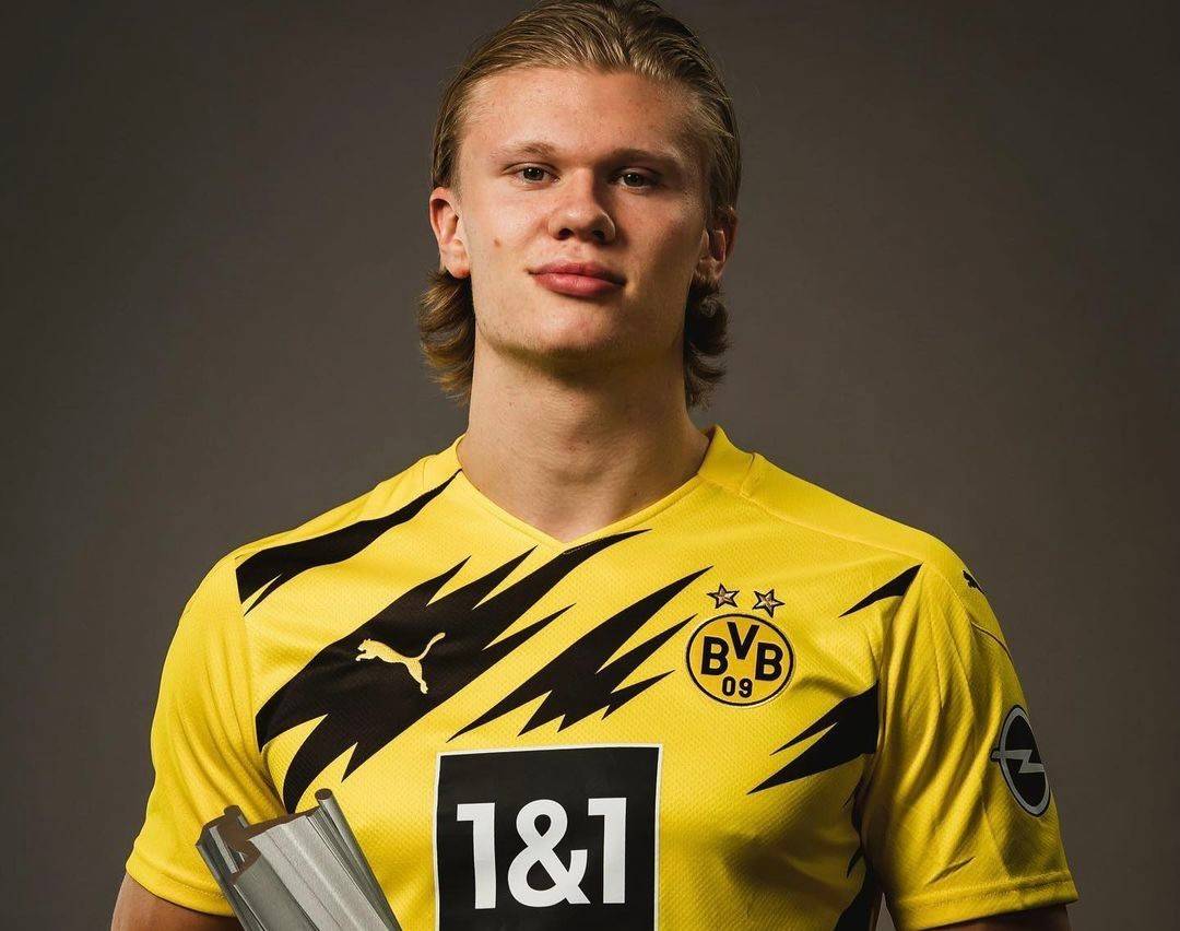 这套演变的 这套演变的