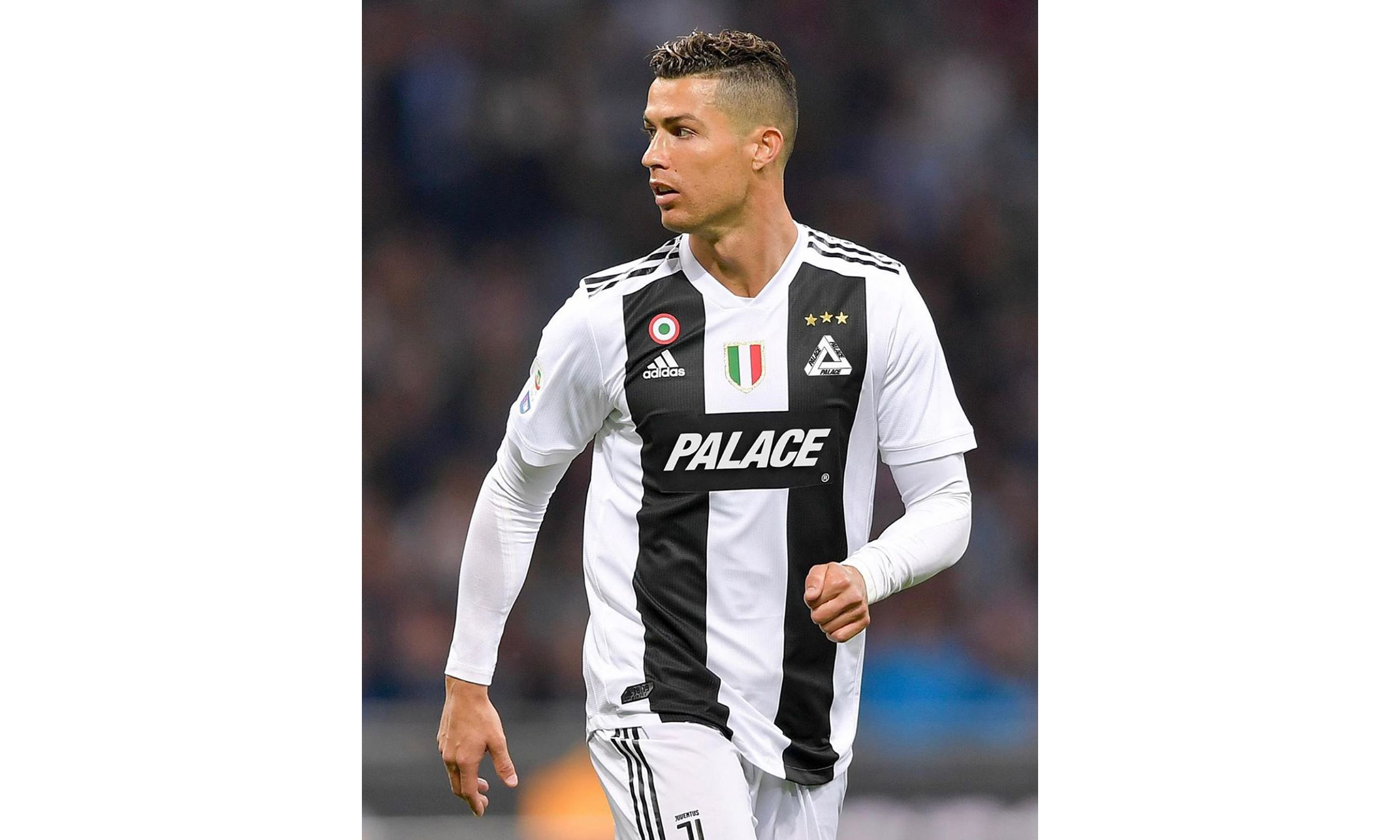 野辅联动 野辅联动