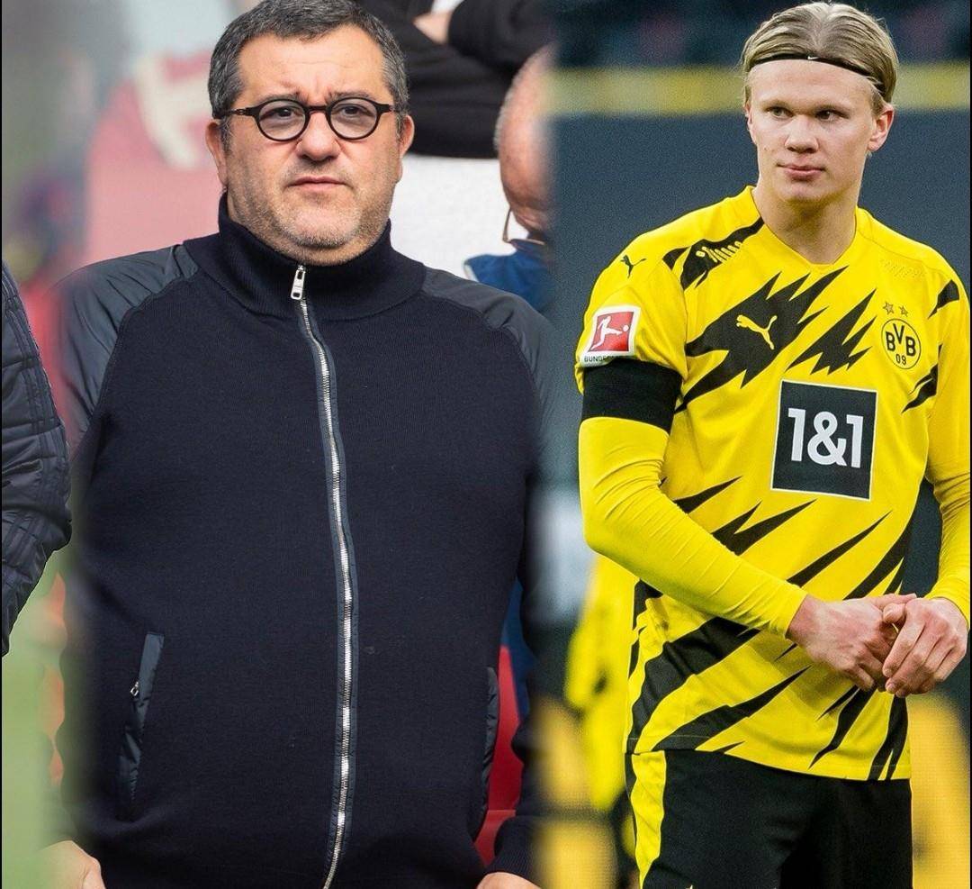 的共性是 的共性是