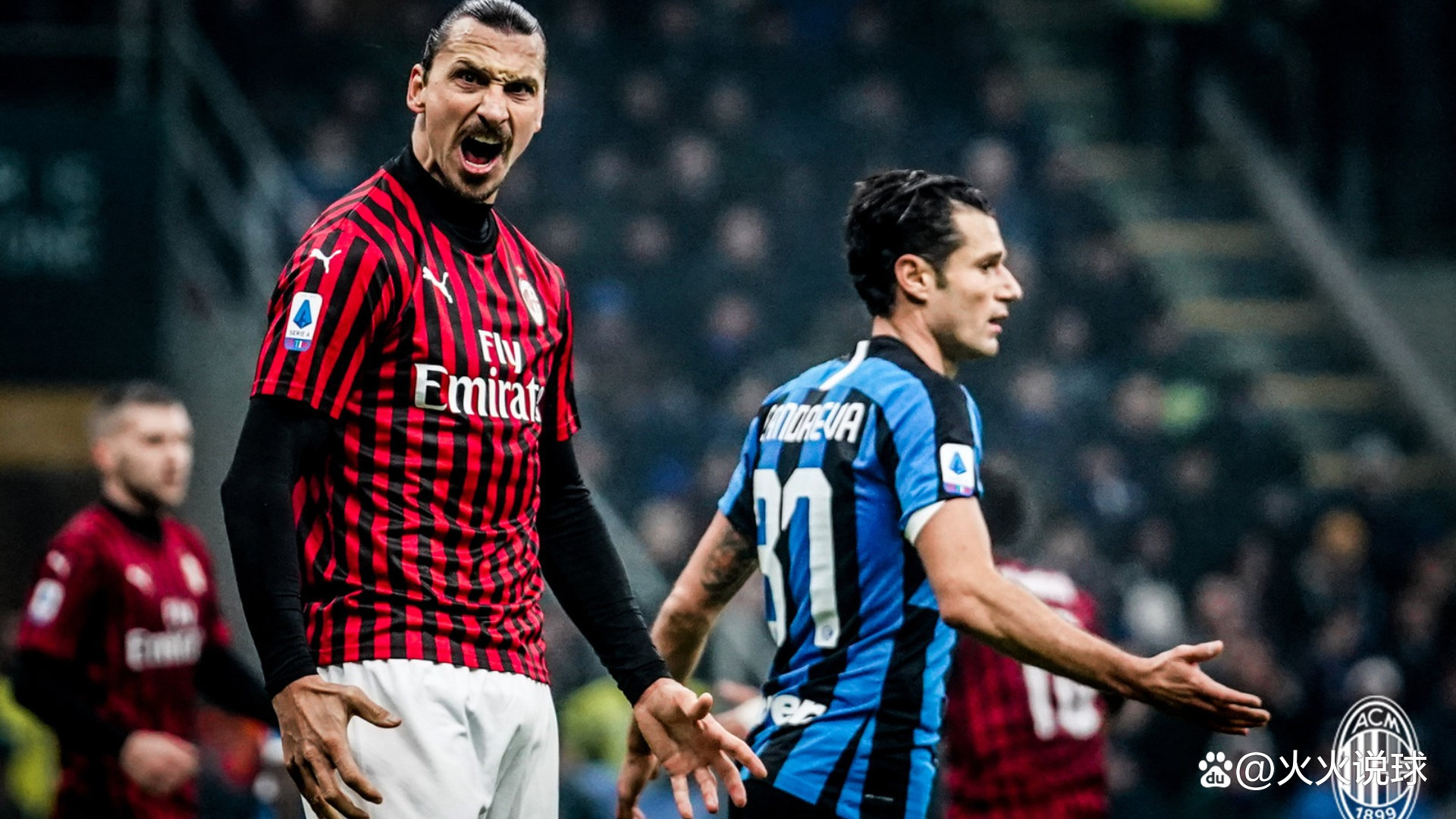 同款犬的居 同款犬的居